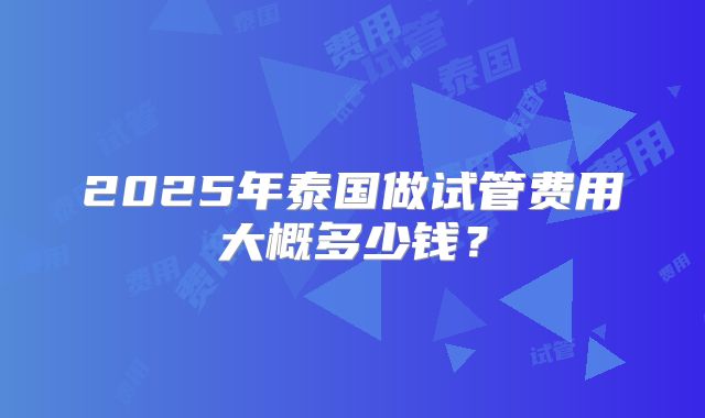 2025年泰国做试管费用大概多少钱?