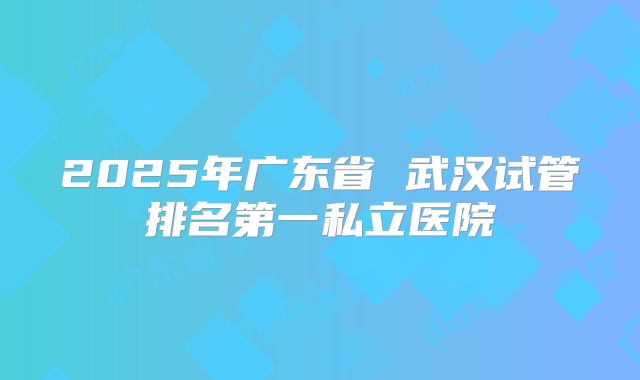 2025年广东省 武汉试管排名第一私立医院