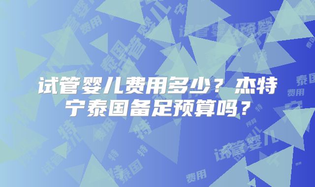 试管婴儿费用多少?杰特宁泰国备足预算吗?