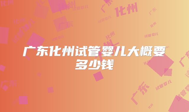广东化州试管婴儿大概要多少钱