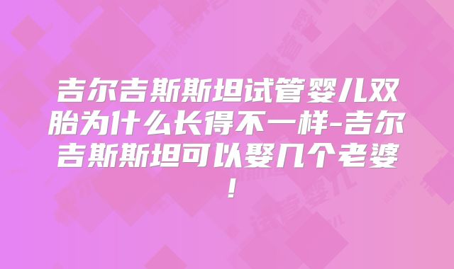 吉尔吉斯斯坦试管婴儿双胎为什么长得不一样-吉尔吉斯斯坦可以娶几个老婆！