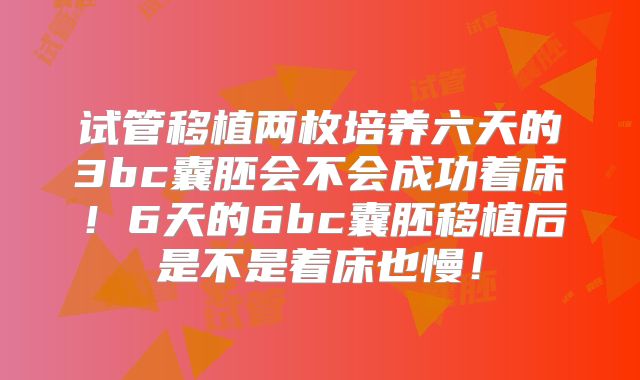 试管移植两枚培养六天的3bc囊胚会不会成功着床！6天的6bc囊胚移植后是不是着床也慢！