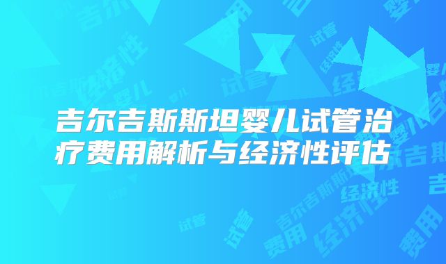 吉尔吉斯斯坦婴儿试管治疗费用解析与经济性评估