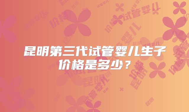 昆明第三代试管婴儿生子价格是多少？