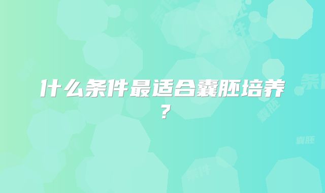 什么条件最适合囊胚培养？
