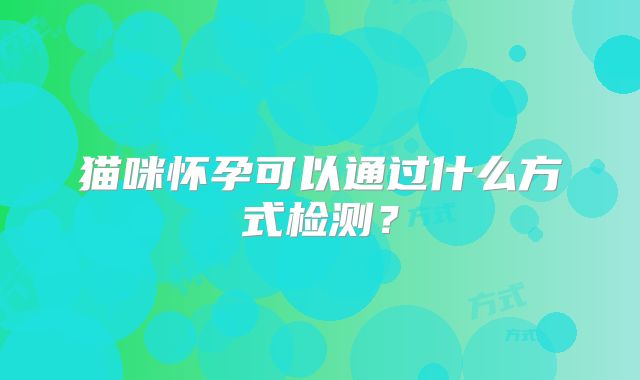 猫咪怀孕可以通过什么方式检测？