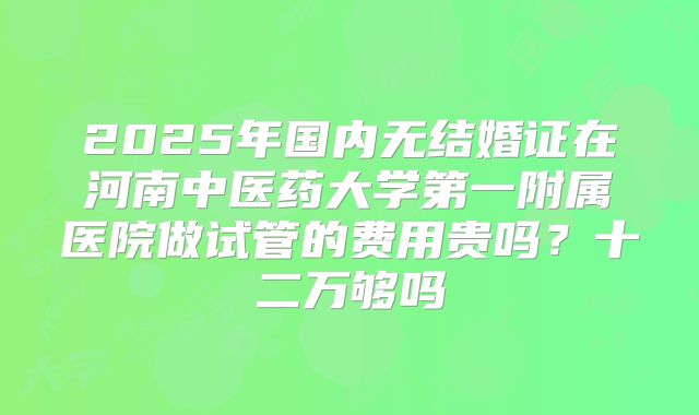 2025年国内无结婚证在河南中医药大学第一附属医院做试管的费用贵吗？十二万够吗