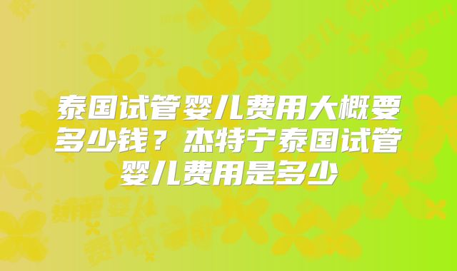 泰国试管婴儿费用大概要多少钱?杰特宁泰国试管婴儿费用是多少