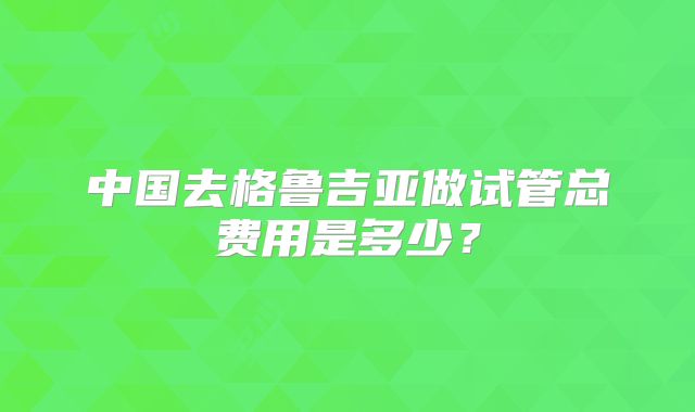 中国去格鲁吉亚做试管总费用是多少？