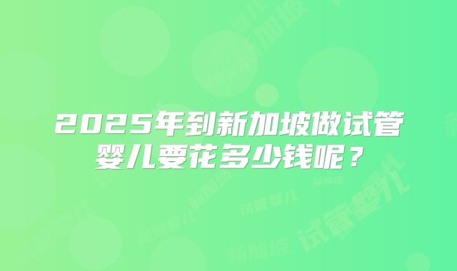 2025年到新加坡做试管婴儿要花多少钱呢？