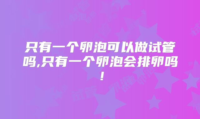 只有一个卵泡可以做试管吗,只有一个卵泡会排卵吗!