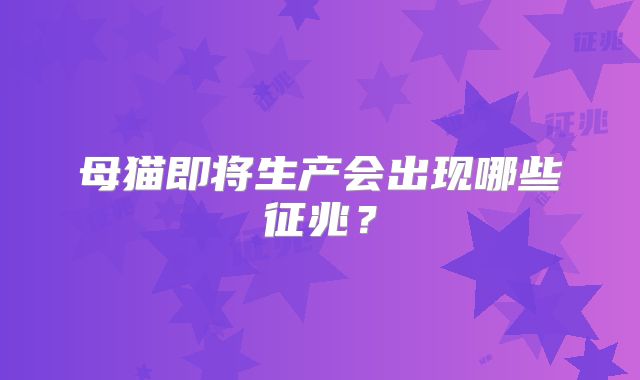 母猫即将生产会出现哪些征兆？