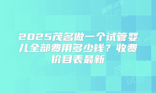 2025茂名做一个试管婴儿全部费用多少钱?收费价目表最新