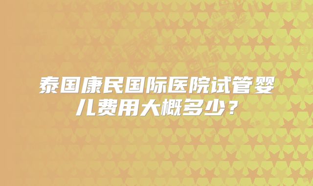 泰国康民国际医院试管婴儿费用大概多少？