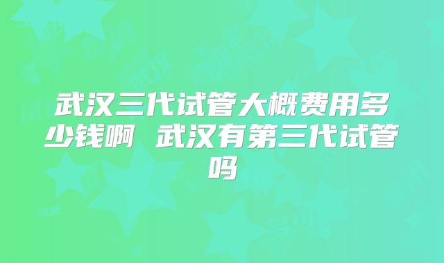 武汉三代试管大概费用多少钱啊 武汉有第三代试管吗