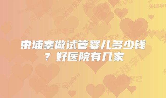 柬埔寨做试管婴儿多少钱?好医院有几家