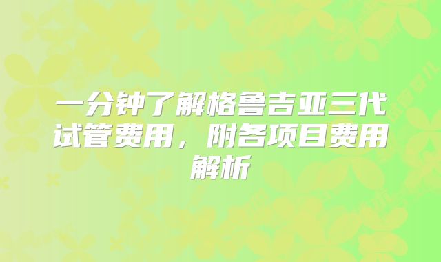 一分钟了解格鲁吉亚三代试管费用，附各项目费用解析