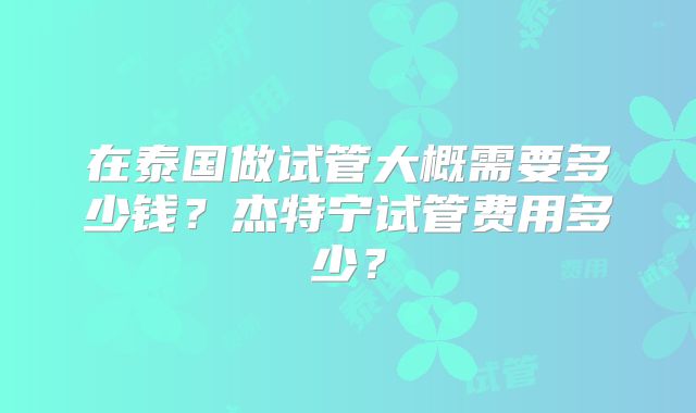 在泰国做试管大概需要多少钱?杰特宁试管费用多少?