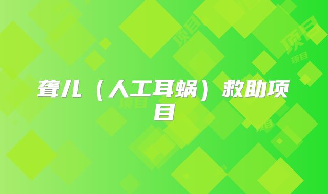 聋儿（人工耳蜗）救助项目