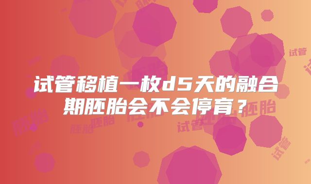 试管移植一枚d5天的融合期胚胎会不会停育？