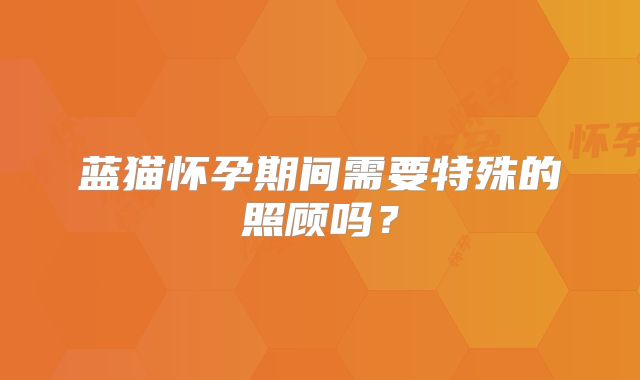 蓝猫怀孕期间需要特殊的照顾吗？