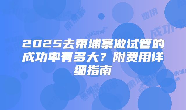 2025去柬埔寨做试管的成功率有多大？附费用详细指南
