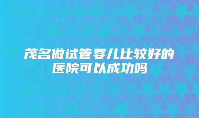 茂名做试管婴儿比较好的医院可以成功吗