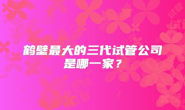 鹤壁最大的三代试管公司是哪一家？