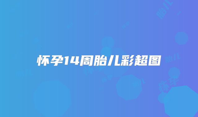 怀孕14周胎儿彩超图