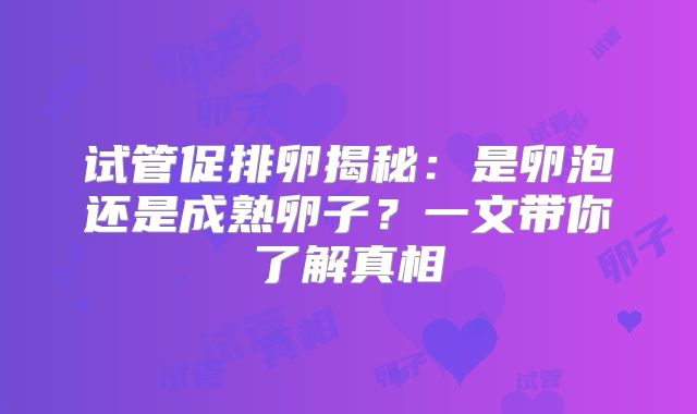 试管促排卵揭秘:是卵泡还是成熟卵子?一文带你了解真相
