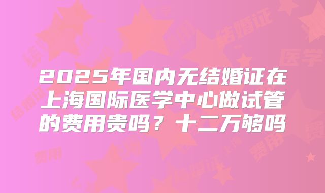2025年国内无结婚证在上海国际医学中心做试管的费用贵吗?十二万够吗