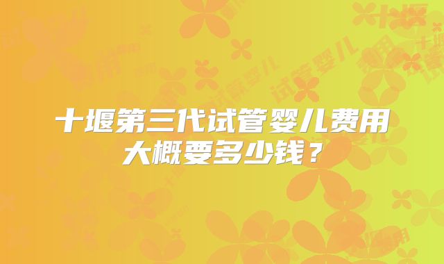 十堰第三代试管婴儿费用大概要多少钱?