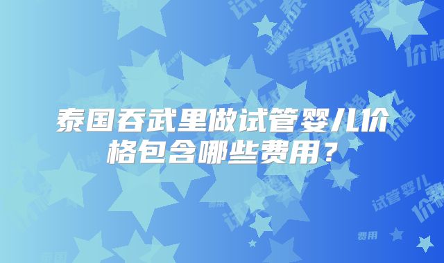 泰国吞武里做试管婴儿价格包含哪些费用？
