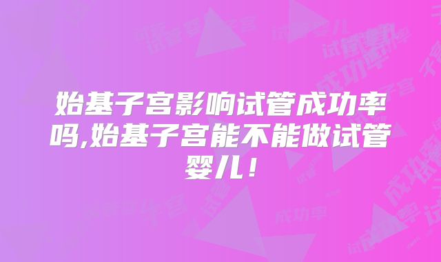 始基子宫影响试管成功率吗,始基子宫能不能做试管婴儿！