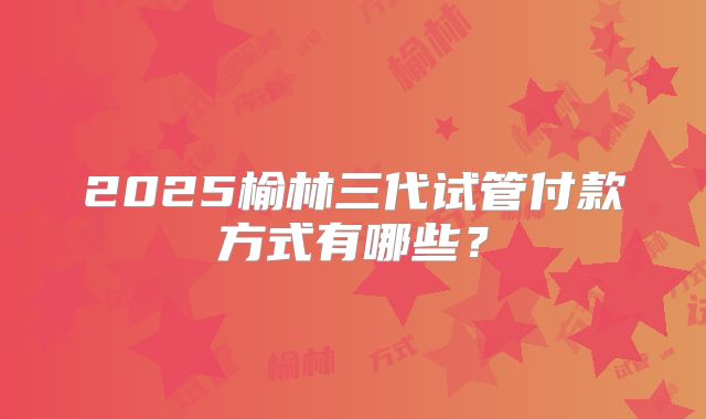 2025榆林三代试管付款方式有哪些？