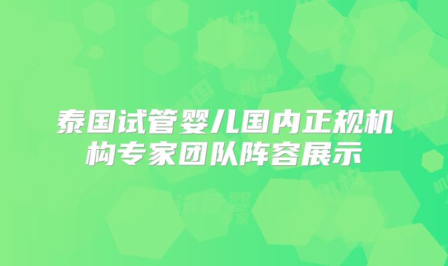 泰国试管婴儿国内正规机构专家团队阵容展示