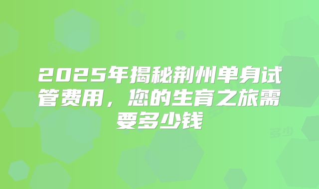 2025年揭秘荆州单身试管费用,您的生育之旅需要多少钱