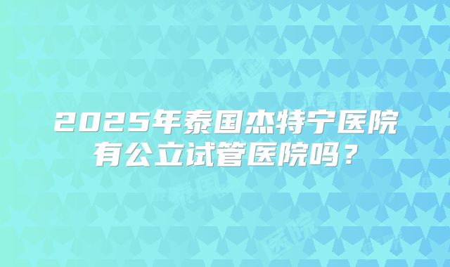 2025年泰国杰特宁医院有公立试管医院吗？