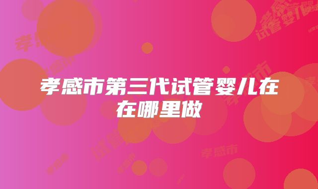 孝感市第三代试管婴儿在在哪里做