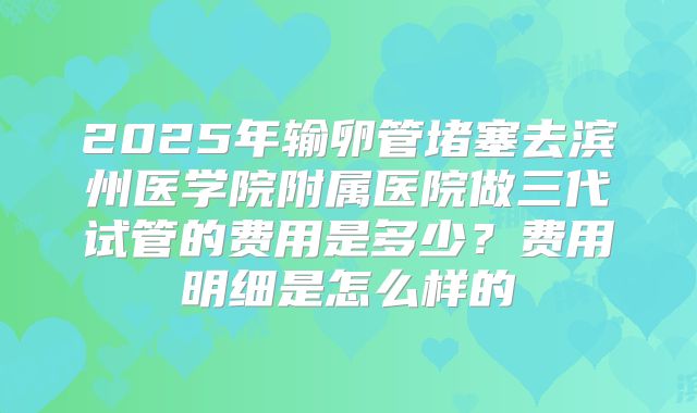 2025年输卵管堵塞去滨州医学院附属医院做三代试管的费用是多少？费用明细是怎么样的