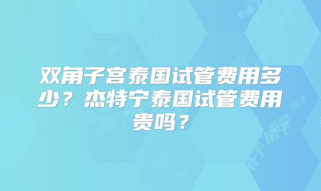 双角子宫泰国试管费用多少？杰特宁泰国试管费用贵吗？