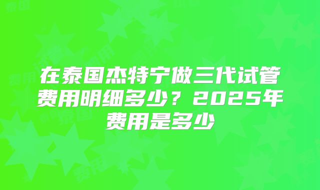 在泰国杰特宁做三代试管费用明细多少？2025年费用是多少