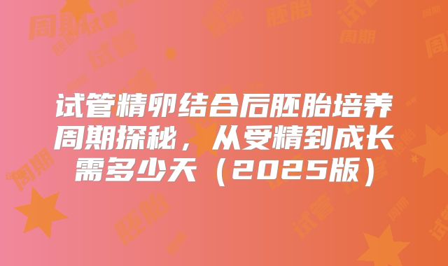 试管精卵结合后胚胎培养周期探秘，从受精到成长需多少天（2025版）