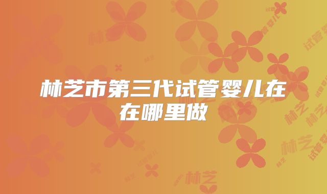林芝市第三代试管婴儿在在哪里做