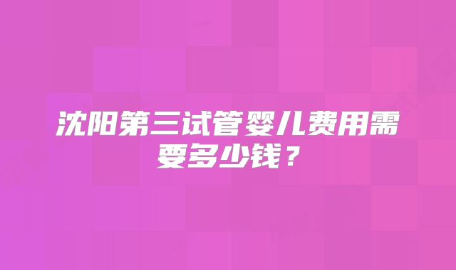 沈阳第三试管婴儿费用需要多少钱？