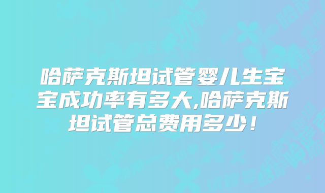 哈萨克斯坦试管婴儿生宝宝成功率有多大,哈萨克斯坦试管总费用多少！