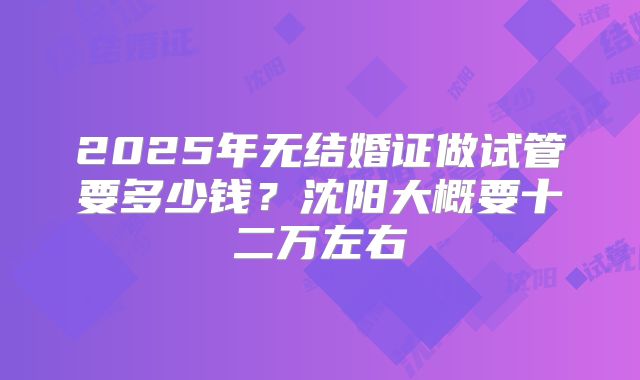 2025年无结婚证做试管要多少钱？沈阳大概要十二万左右