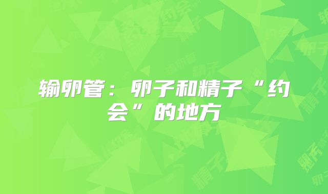 输卵管：卵子和精子“约会”的地方