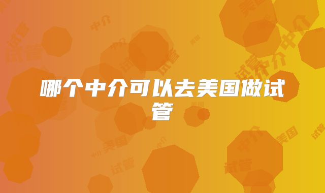 哪个中介可以去美国做试管
