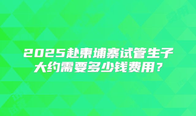 2025赴柬埔寨试管生子大约需要多少钱费用？